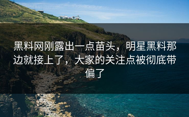 黑料网刚露出一点苗头，明星黑料那边就接上了，大家的关注点被彻底带偏了