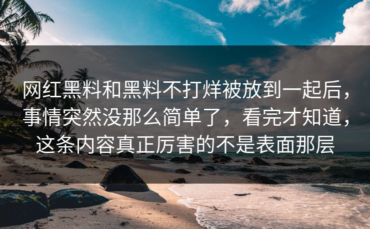 网红黑料和黑料不打烊被放到一起后，事情突然没那么简单了，看完才知道，这条内容真正厉害的不是表面那层