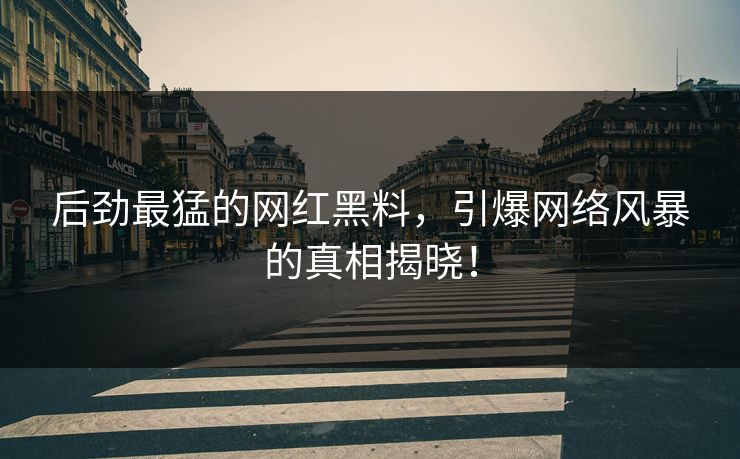 后劲最猛的网红黑料，引爆网络风暴的真相揭晓！