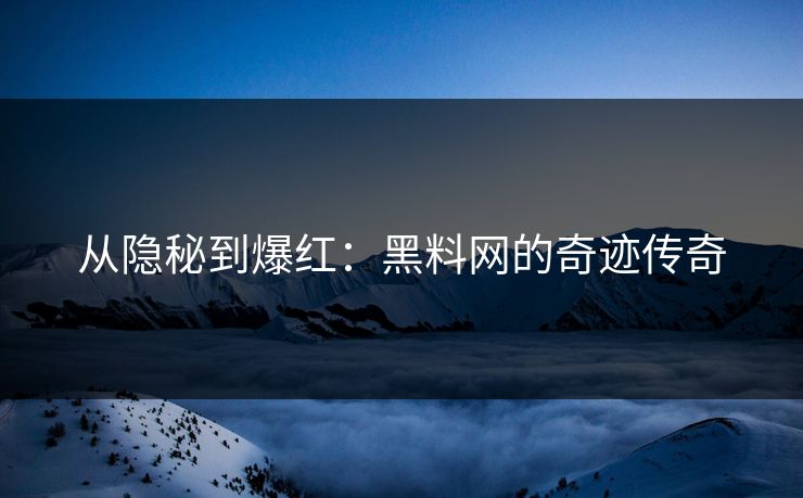 从隐秘到爆红：黑料网的奇迹传奇