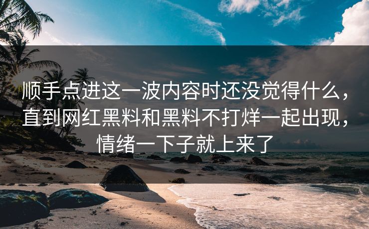 顺手点进这一波内容时还没觉得什么，直到网红黑料和黑料不打烊一起出现，情绪一下子就上来了