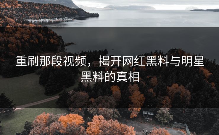 重刷那段视频，揭开网红黑料与明星黑料的真相