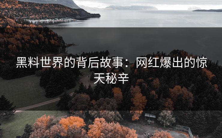 黑料世界的背后故事：网红爆出的惊天秘辛