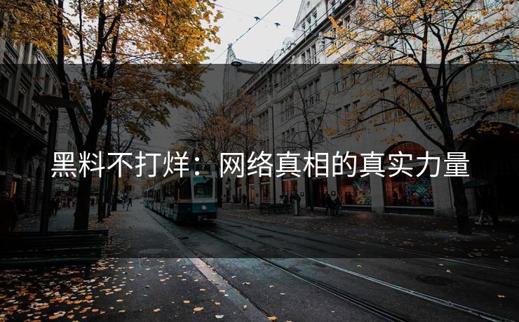 黑料不打烊：网络真相的真实力量