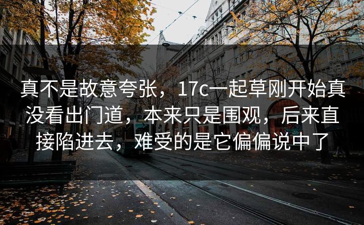 真不是故意夸张，<strong>17C</strong>一起草刚开始真没看出门道，本来只是围观，后来直接陷进去，难受的是它偏偏说中了